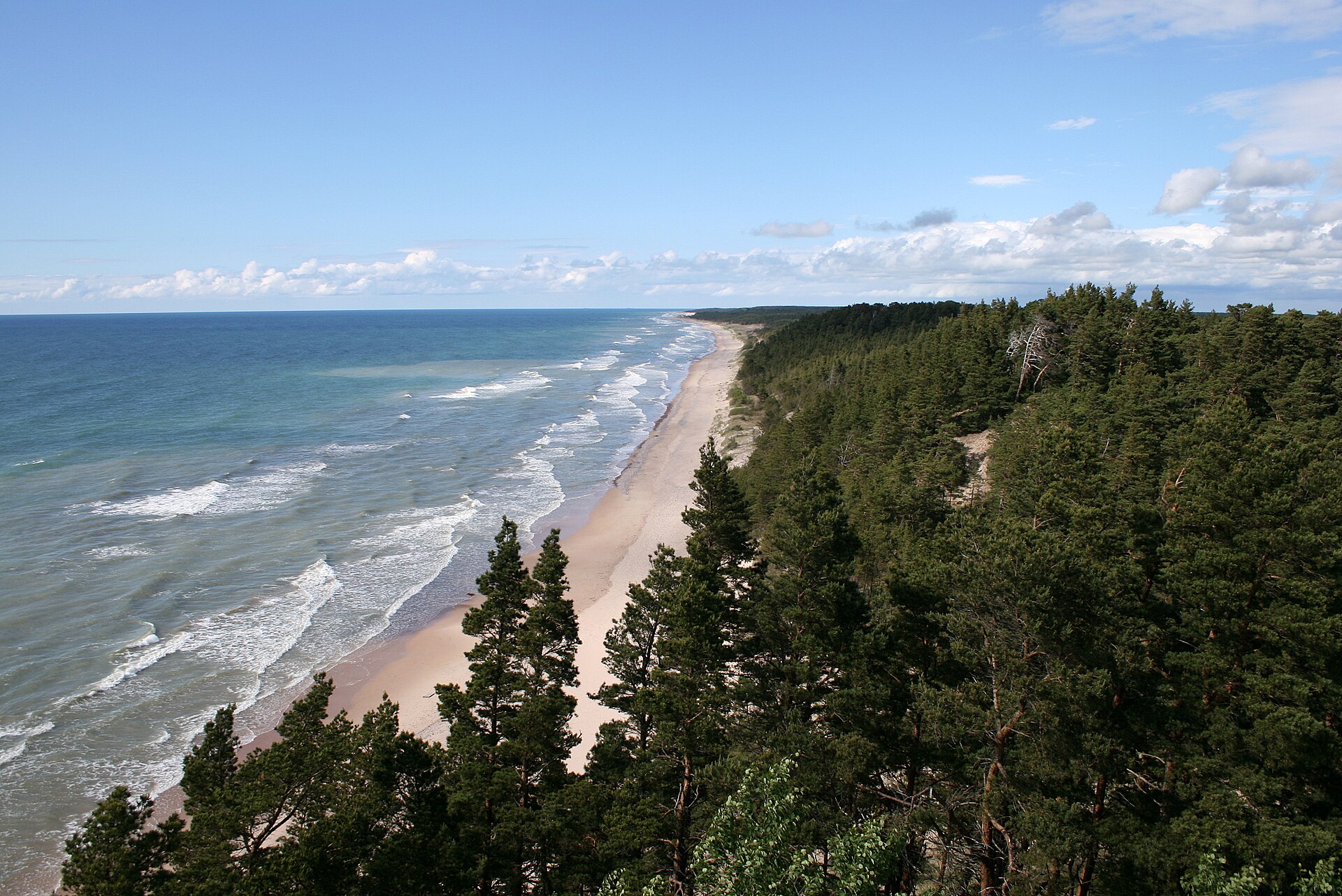 Ostseeküste mit Strand und Kiefernwald in Lettland