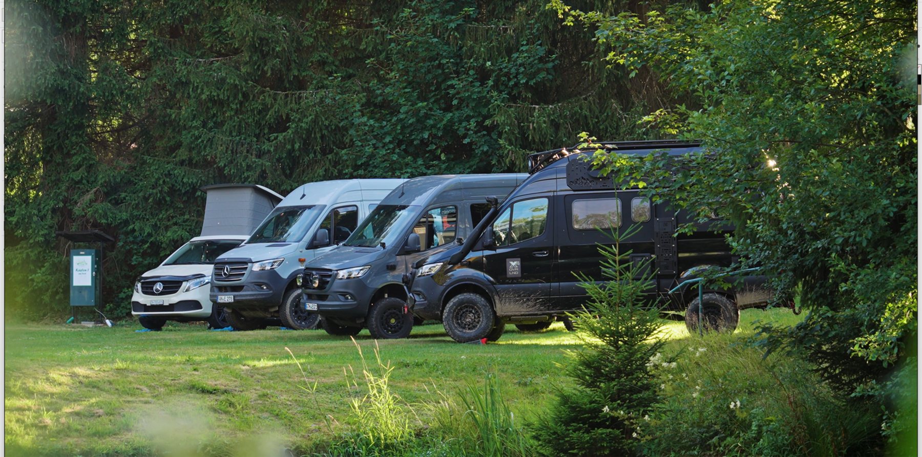 Die Camper der Gruppe auf einem Platz am Wald