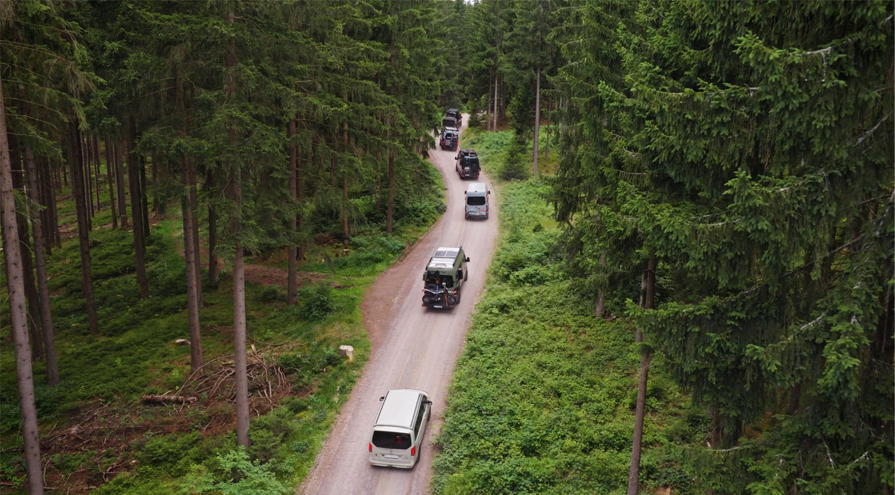 Gemeinsam unterwegs im Thüringer Wald