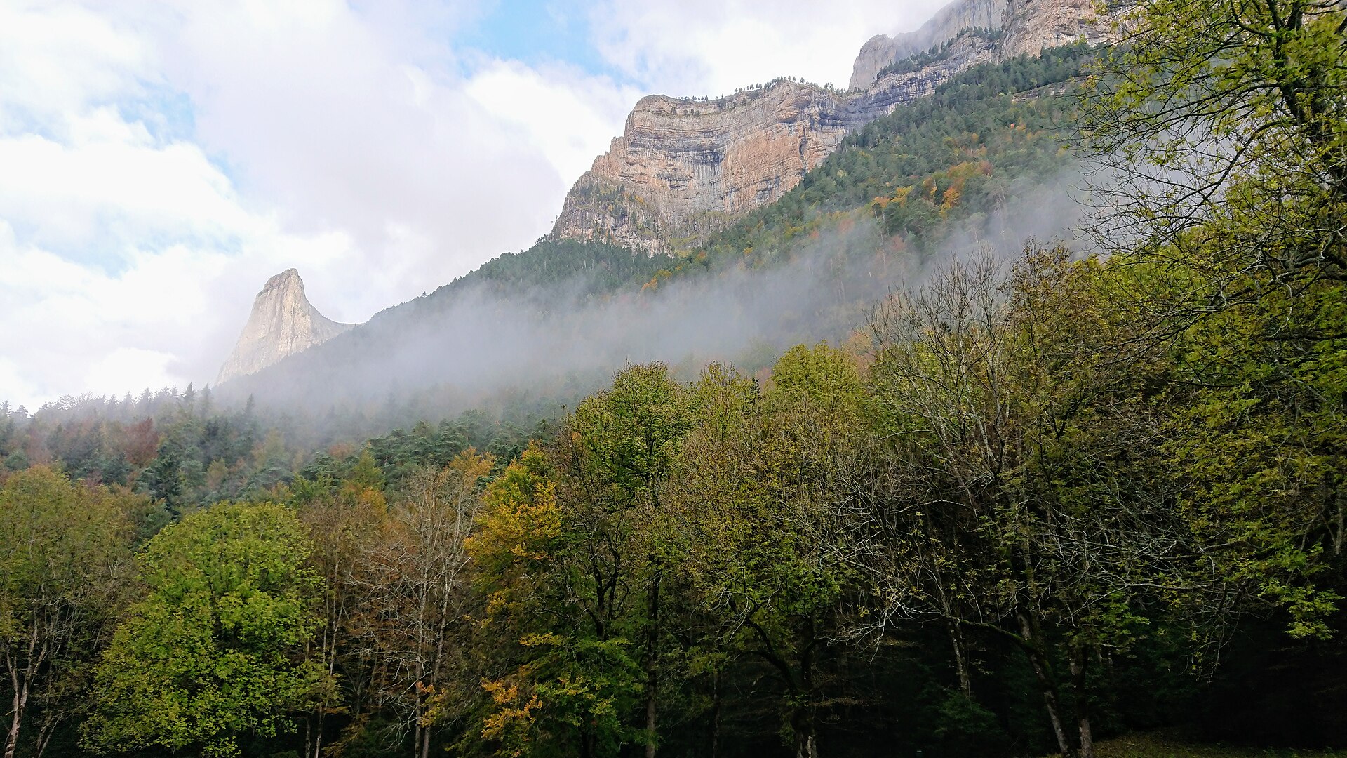 Felswände und Wald im Ordesa-Tal