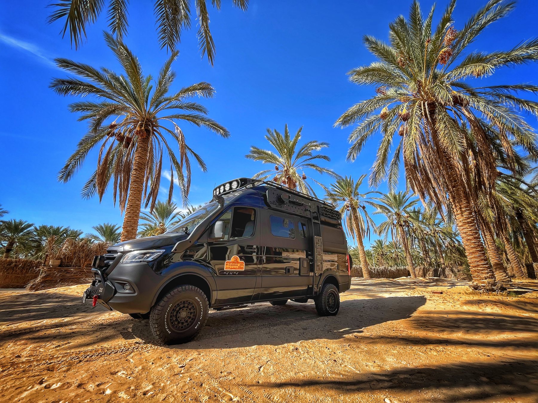 Camper unter Palmen in Tunesien
